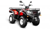 2013 Loncin LX250ATV-F Leopard photo